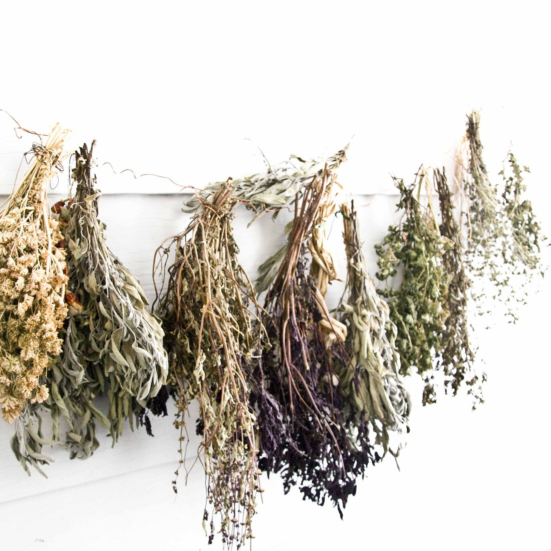 Fresh Homemade Dried Herbs Recipe